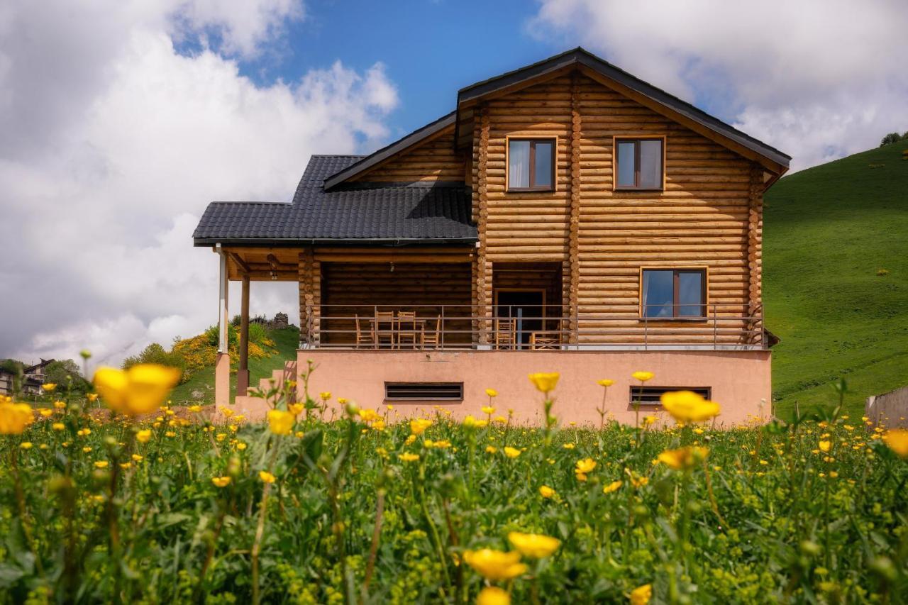 Snow Time Eco Chalet Гудаури Экстерьер фото